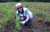 Los Guardianes por la Paz de la Madre Tierra se unen al II Gran Día Nacional de Reforestación en Panamá