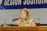 Dr. Liliana Valdiña -Consultant of Human Rights of the United Nations for Paraguay