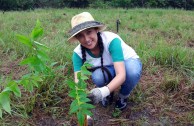 Día nacional de reforestación Panamá