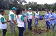 Día nacional de reforestación Panamá