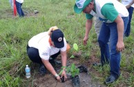 Día nacional de reforestación Panamá