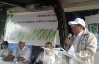 Día nacional de reforestación Panamá