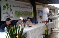 Día nacional de reforestación Panamá