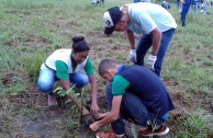 Día nacional de reforestación Panamá