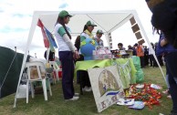 The GEAP participates in sports and environmental activities for peace