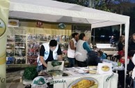 The GEAP participates in an Intercultural Festival in Tarragona