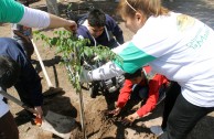 Estudiantes participan en jornadas de concientización en favor de la Madre Tierra