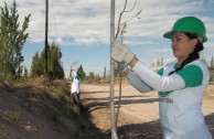 Activistas por la Paz siembran miles de árboles en la provincia de Mendoza