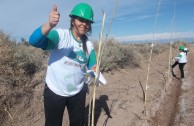 Activistas por la Paz siembran miles de árboles en la provincia de Mendoza