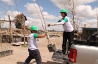 Activistas por la Paz siembran miles de árboles en la provincia de Mendoza