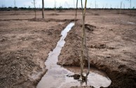 Guardianes por la Paz de la Madre Tierra resguardan espacios naturales