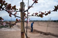 Guardianes por la Paz de la Madre Tierra resguardan espacios naturales