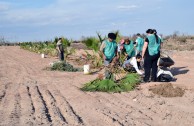 Guardianes por la Paz de la Madre Tierra resguardan espacios naturales