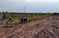 Guardianes por la Paz de la Madre Tierra resguardan espacios naturales