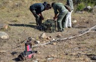 Liberadas especies en la reserva parque Río Yuspe Cosquin 