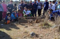 Liberadas especies en la reserva parque Río Yuspe Cosquin 