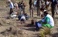 Liberadas especies en la reserva parque Río Yuspe Cosquin 