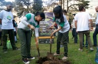 Activistas por la paz se unen a la 5º edición de la Semana del Árbol