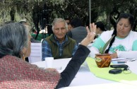 1º Encuentro Regional de Pueblos Originarios genera propuestas en favor de la Madre Tierra