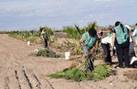 Guardians for the Peace of Mother Earth protect natural spaces