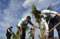 Guardians for the Peace of Mother Earth protect natural spaces