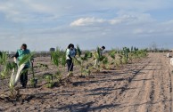 Guardians for the Peace of Mother Earth protect natural spaces