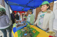 Cholita expone en Feria Ambiental