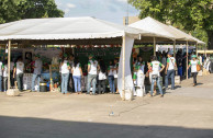 Brigadas ambientales en Plaza del Estudiante 