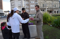 donar sangre, argentina, activistas por la paz