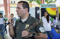 En Puerto Rico: Acciones por la conservación de la vida silvestre