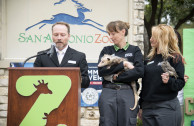 Celebración internacional por la vida silvestre de la Madre Tierra