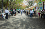 Población de Zaragoza participa en feria por la protección del medio ambiente