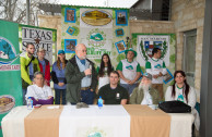 Gran Limpieza Anual Del Rio San Marcos, En Texas, Usa.