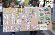 Dominicanos se unen a la celebración mundial de la naturaleza