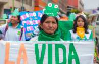 Celebración internacional por la vida silvestre de la Madre Tierra