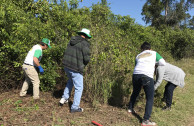 El cuidado del ambiente garantiza la preservación de las especies