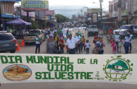 Emotive and colorful march and an environmental parade were made by the Global Embassy of Activists for Peace in Tocoa, Honduras.