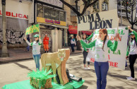 día mundial vida silvestre, Colombia, marcha, animales vía extinción  