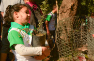 Día de los bosques, Plantación reserva San Martín - Argentina 2017