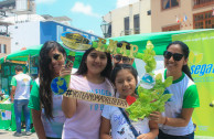 Environmental Fairs Peru