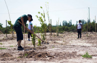 conservación de especies vegetales