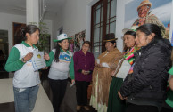 voluntarios en la paz