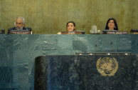 Mesa de Disertantes ONU