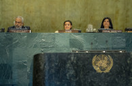 Mesa de Disertantes ONU