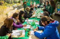 Pueblos originarios se reúnen en 4º Encuentro regional 