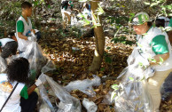 activistas limpiando bosque