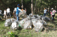 bolsas basura manglar 