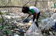 activistas de la paz limpiando bosque