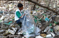 botellas en bosque