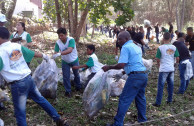 limpiar bosque manglar